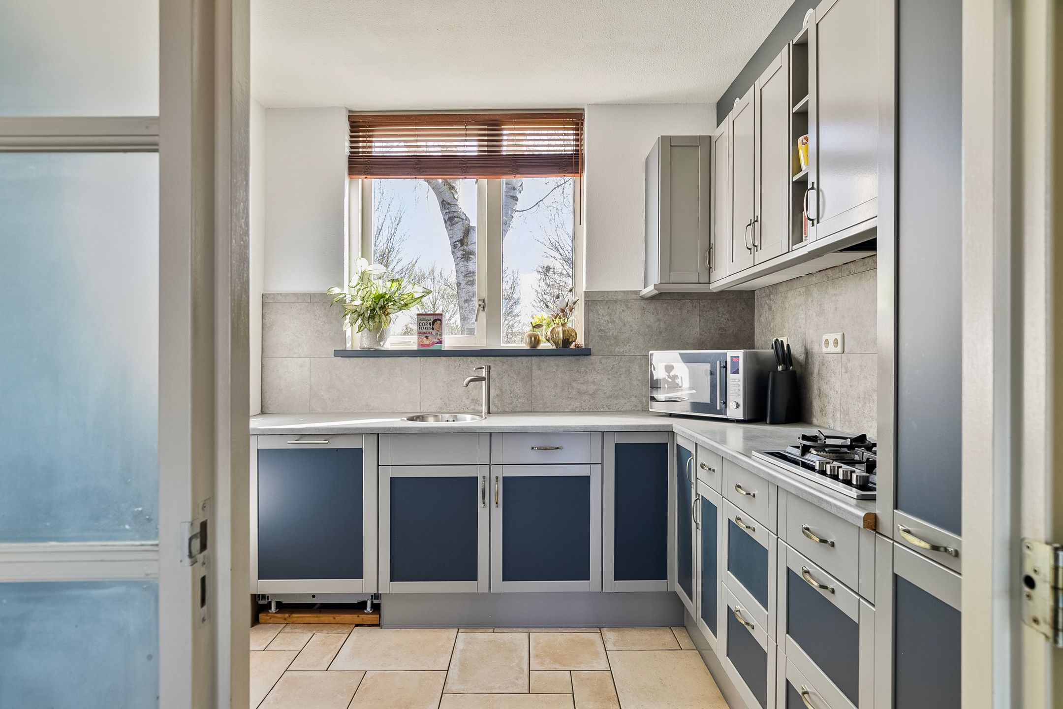 Foto 3 van Groenland 5