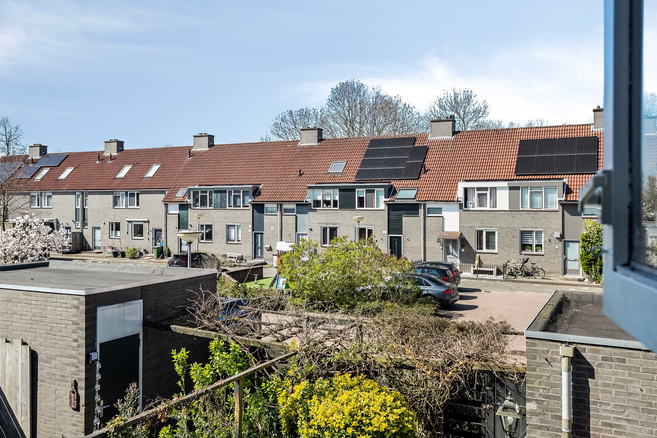 Foto 24 van Groenland 5