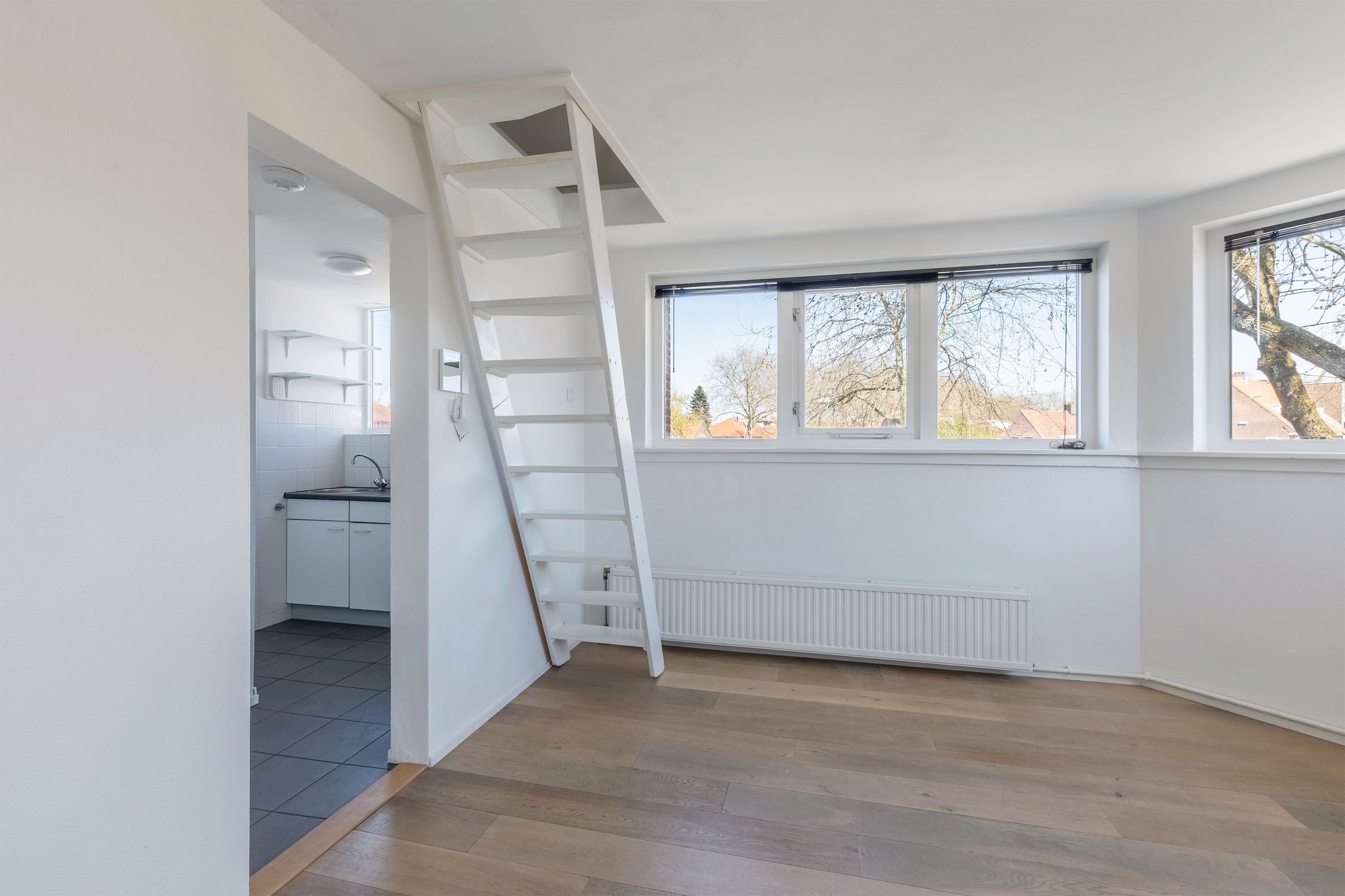 Foto 6 van Ehrlichstraat 13-B