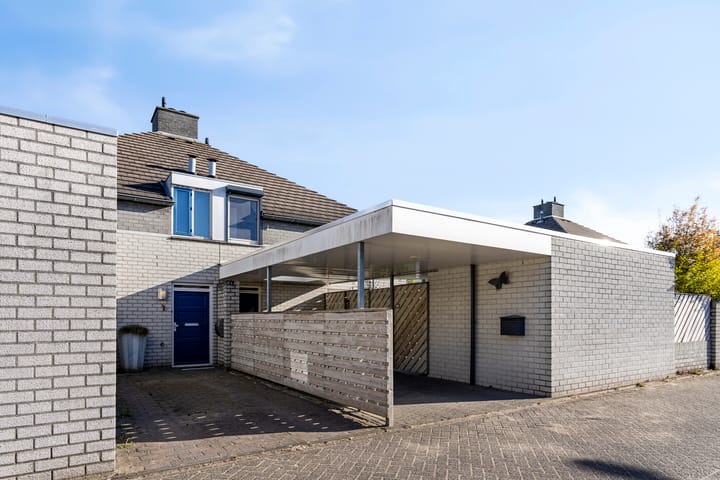 Foto 4 van Vuurvlinder 3