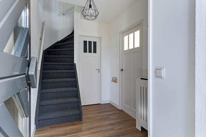 Foto 5 van Vuurvlinder 3