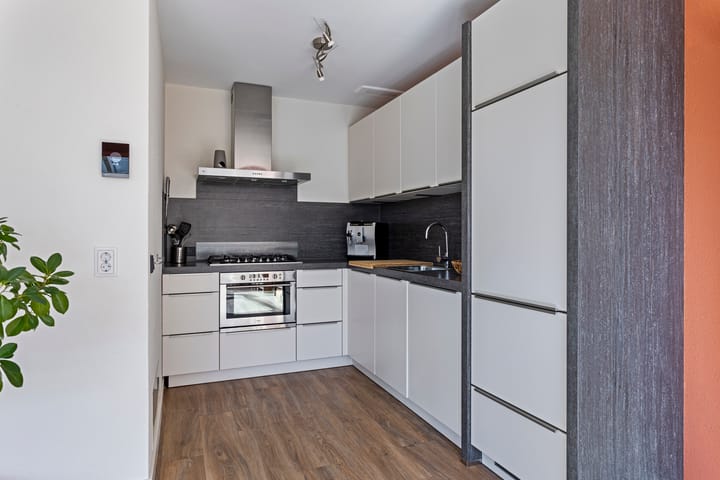 Foto 12 van Vuurvlinder 3