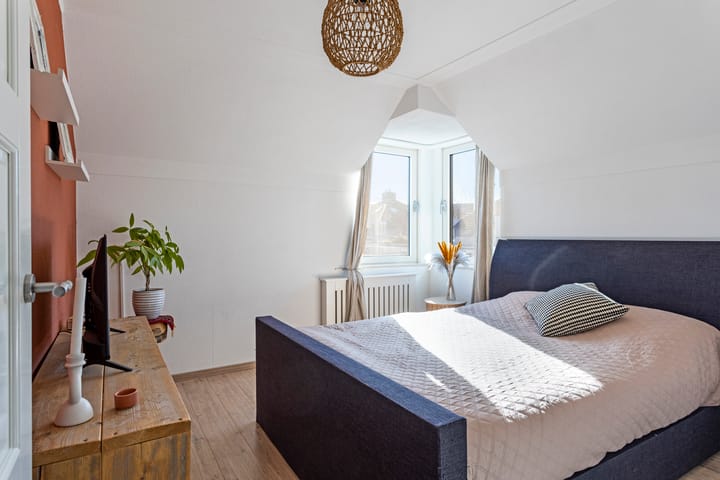 Foto 16 van Vuurvlinder 3