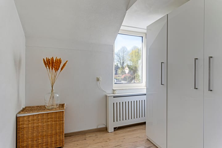 Foto 23 van Vuurvlinder 3