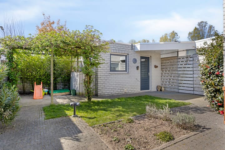 Foto 24 van Vuurvlinder 3