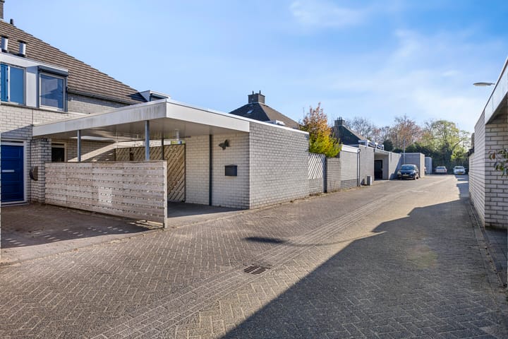 Foto 29 van Vuurvlinder 3