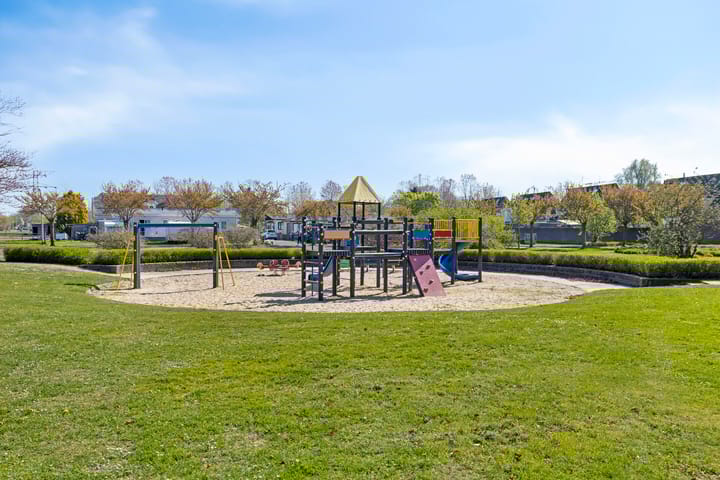 Foto 31 van Vuurvlinder 3