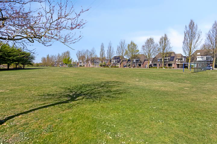 Foto 32 van Vuurvlinder 3