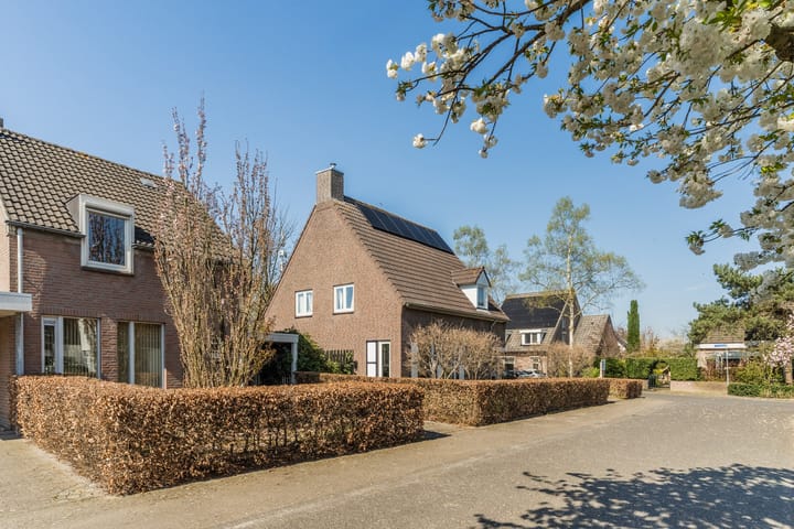 Foto 25 van Moutlaan 13