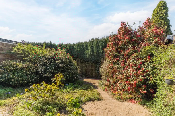 Foto 30 van Moutlaan 13