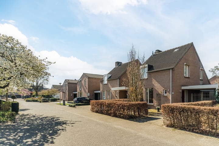 Foto 33 van Moutlaan 13