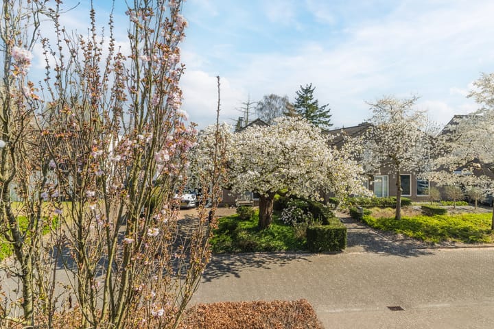 Foto 34 van Moutlaan 13