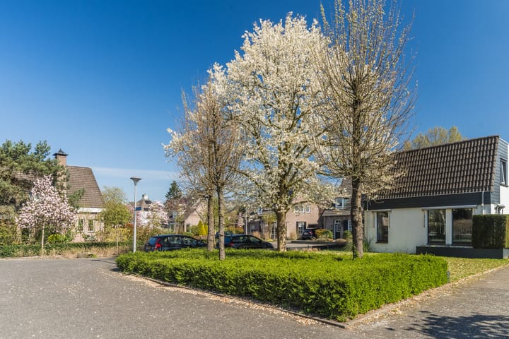 Foto 35 van Moutlaan 13