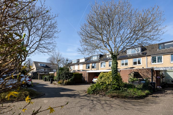 Foto 3 van Regenboog 48