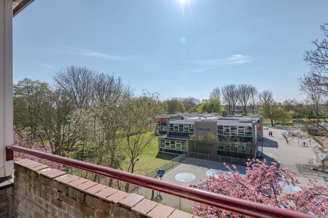 Foto 11 van Ruigoord 316