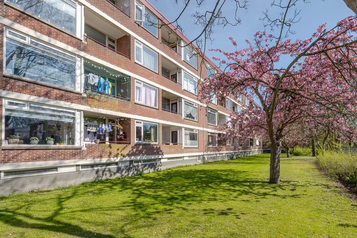 Foto 22 van Ruigoord 316