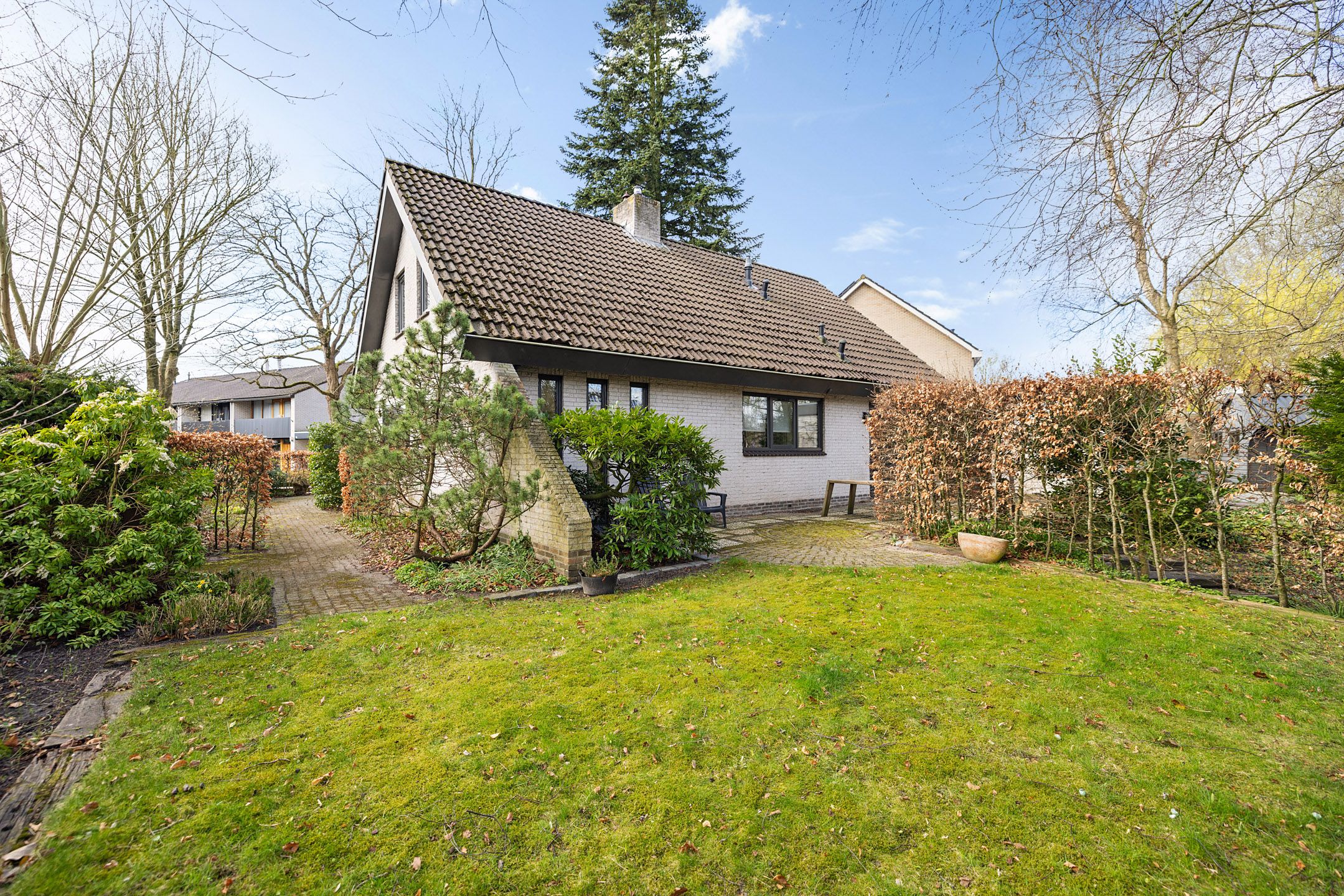 Foto 15 van Sleutelbloem 2