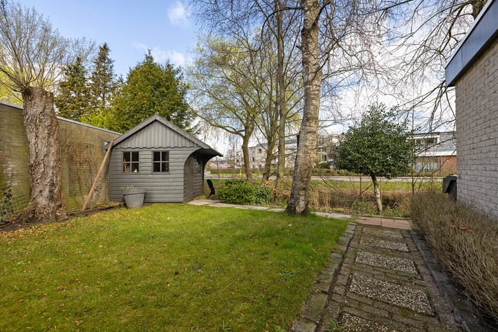 Foto 16 van Sleutelbloem 2