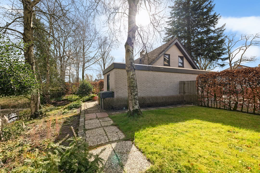 Foto 17 van Sleutelbloem 2