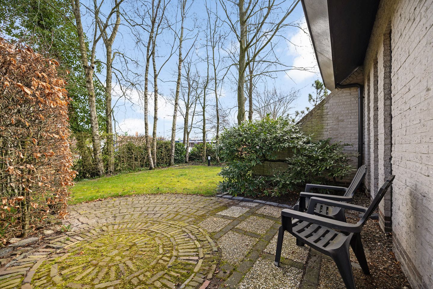 Foto 19 van Sleutelbloem 2