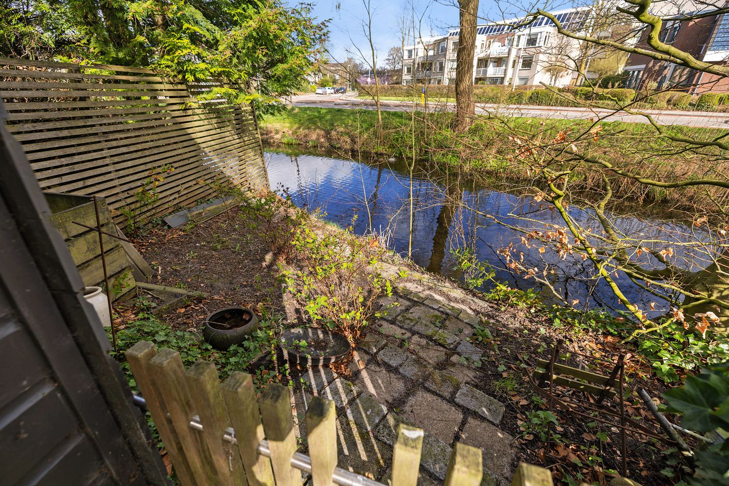 Foto 20 van Sleutelbloem 2