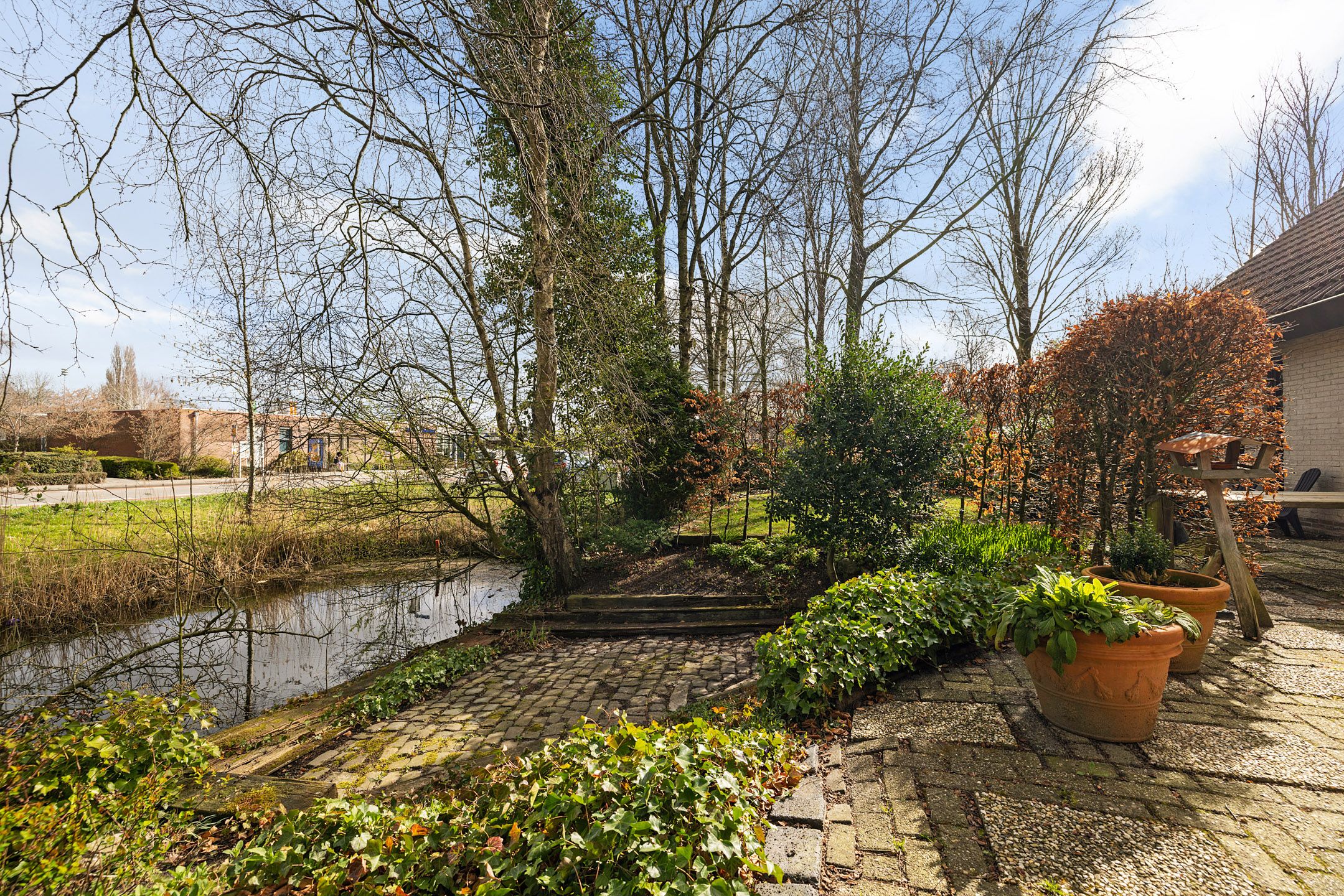 Foto 21 van Sleutelbloem 2