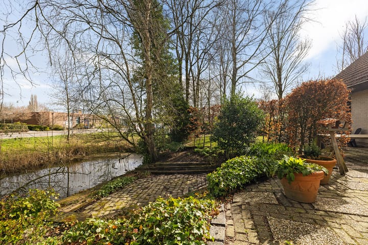 Foto 21 van Sleutelbloem 2