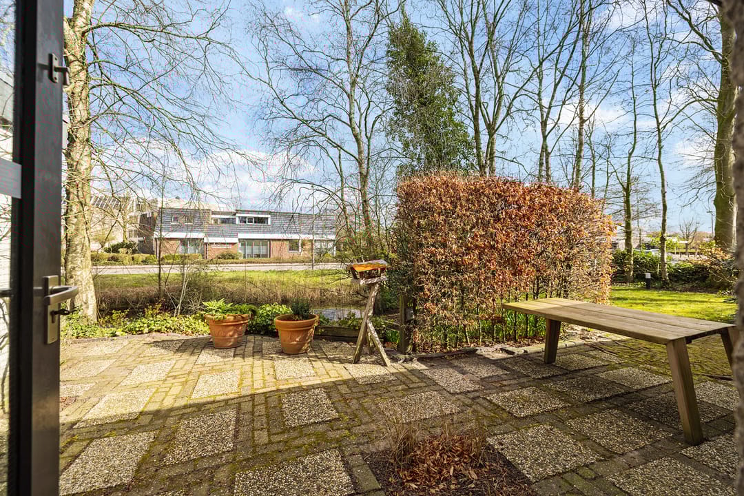 Foto 22 van Sleutelbloem 2