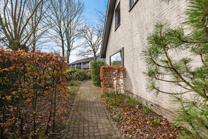 Foto 23 van Sleutelbloem 2