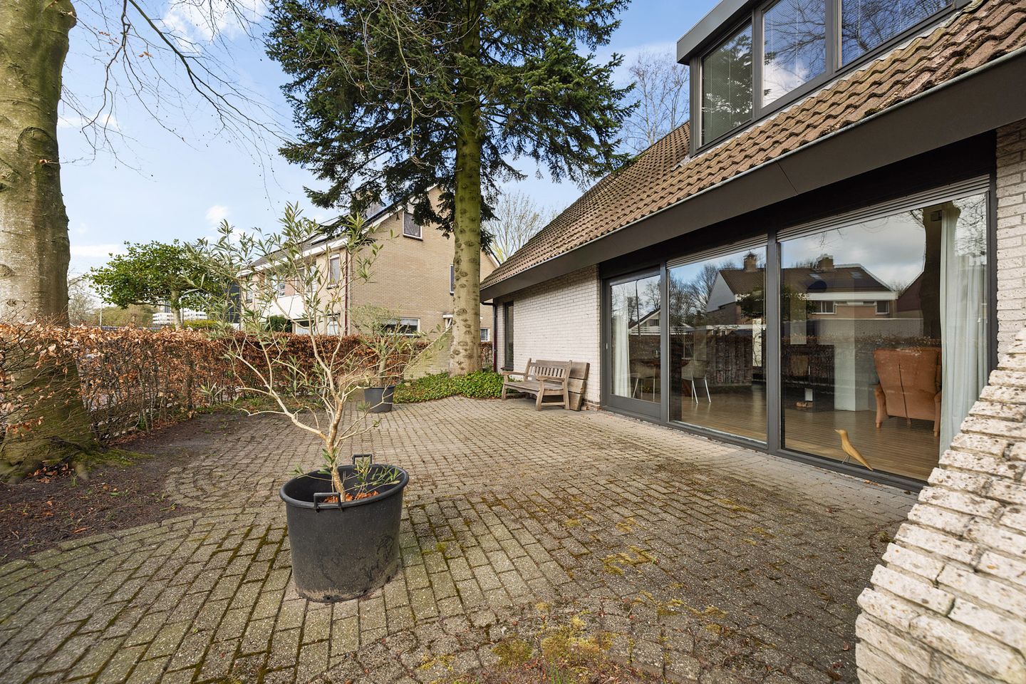 Foto 25 van Sleutelbloem 2