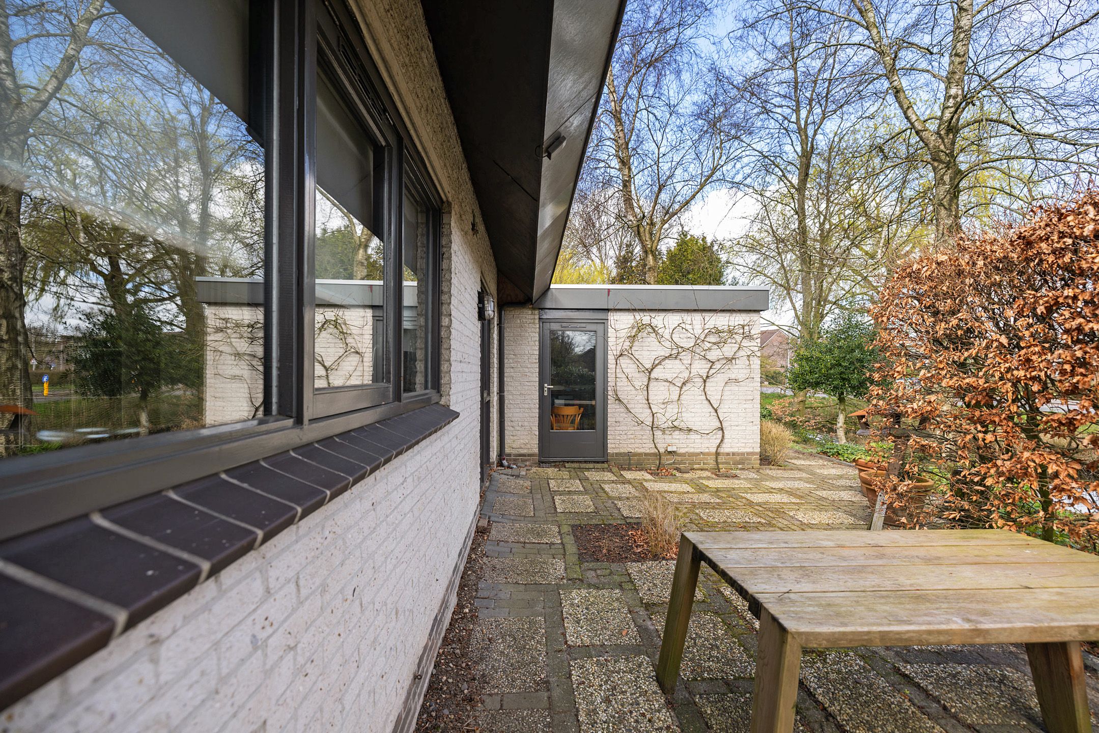 Foto 27 van Sleutelbloem 2