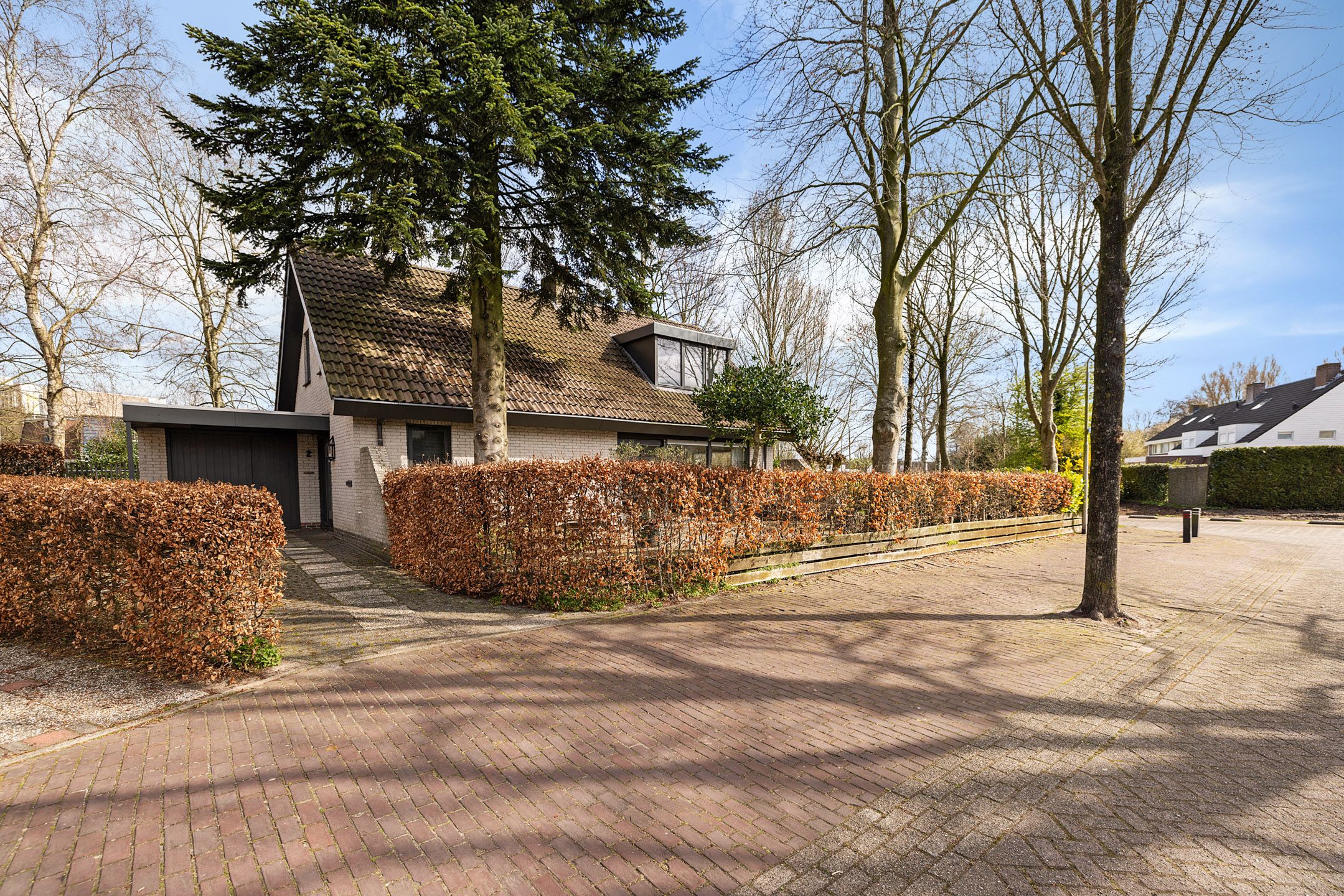 Foto 30 van Sleutelbloem 2