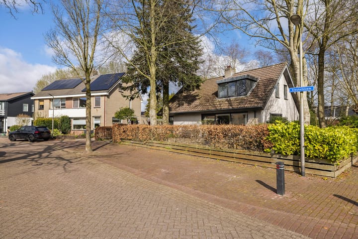 Foto 32 van Sleutelbloem 2