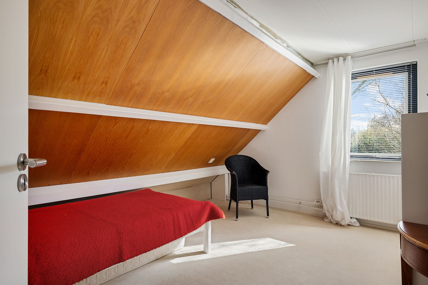 Foto 40 van Sleutelbloem 2