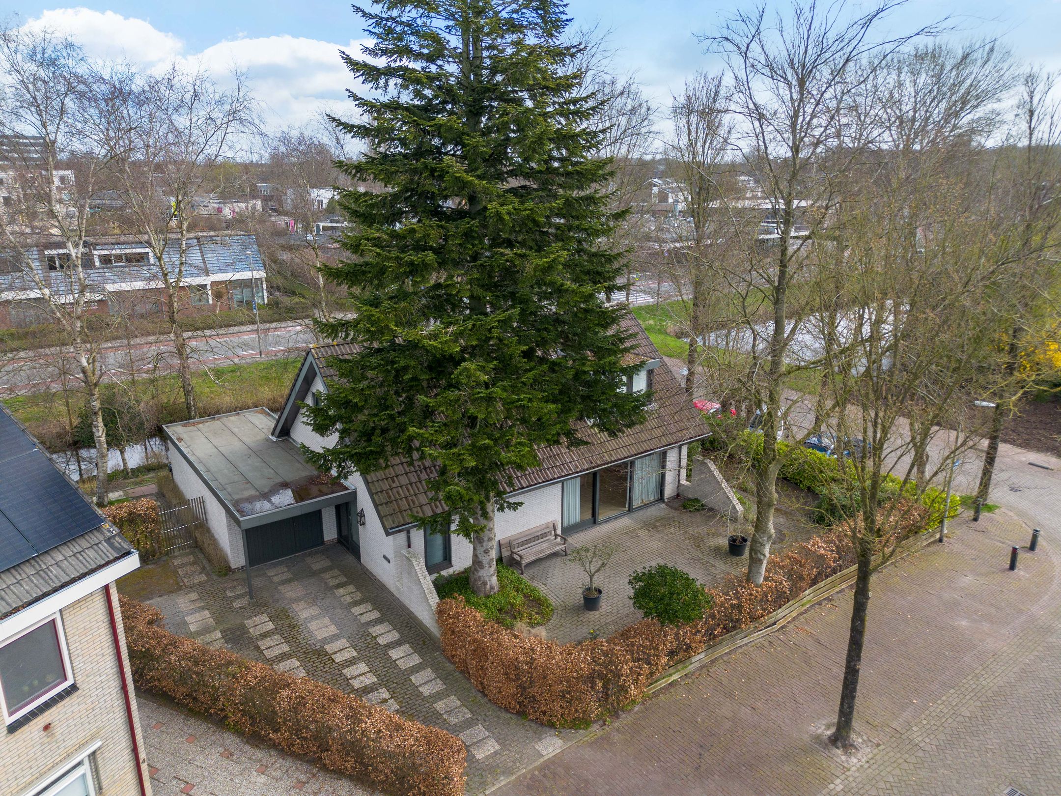 Foto 48 van Sleutelbloem 2