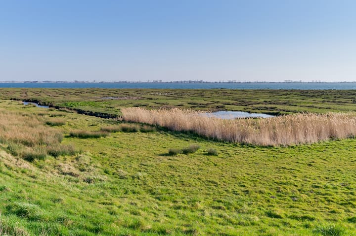 Photo 48 of Boven Oostdijk 43