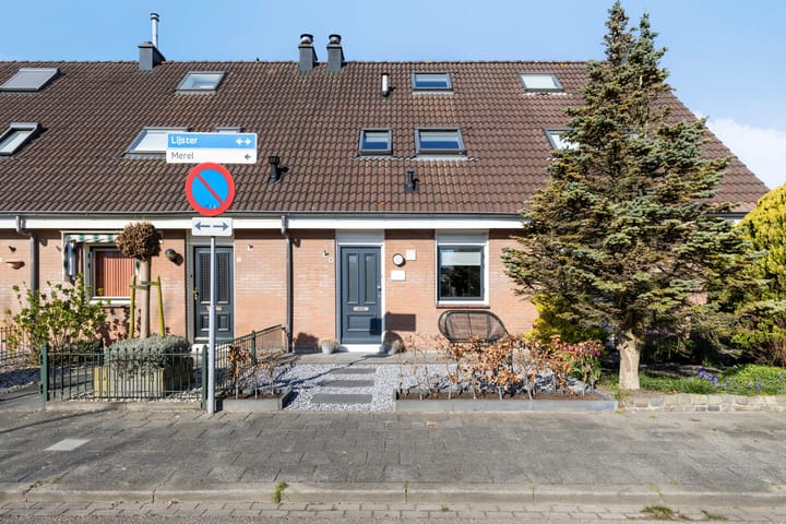 Lijster 9