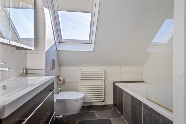 Foto 4 van Lijster 9