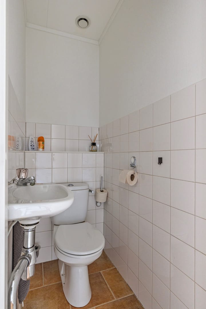 Foto 8 van Lijster 9