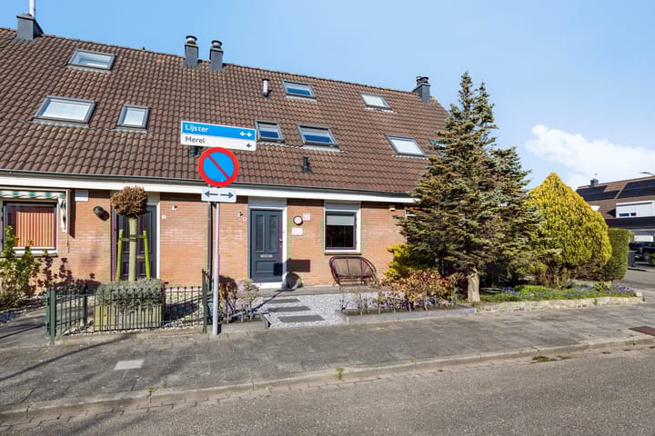 Foto 32 van Lijster 9