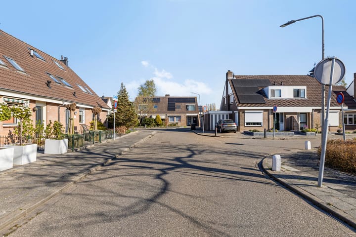 Foto 33 van Lijster 9