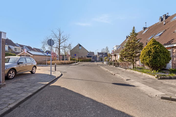 Foto 34 van Lijster 9