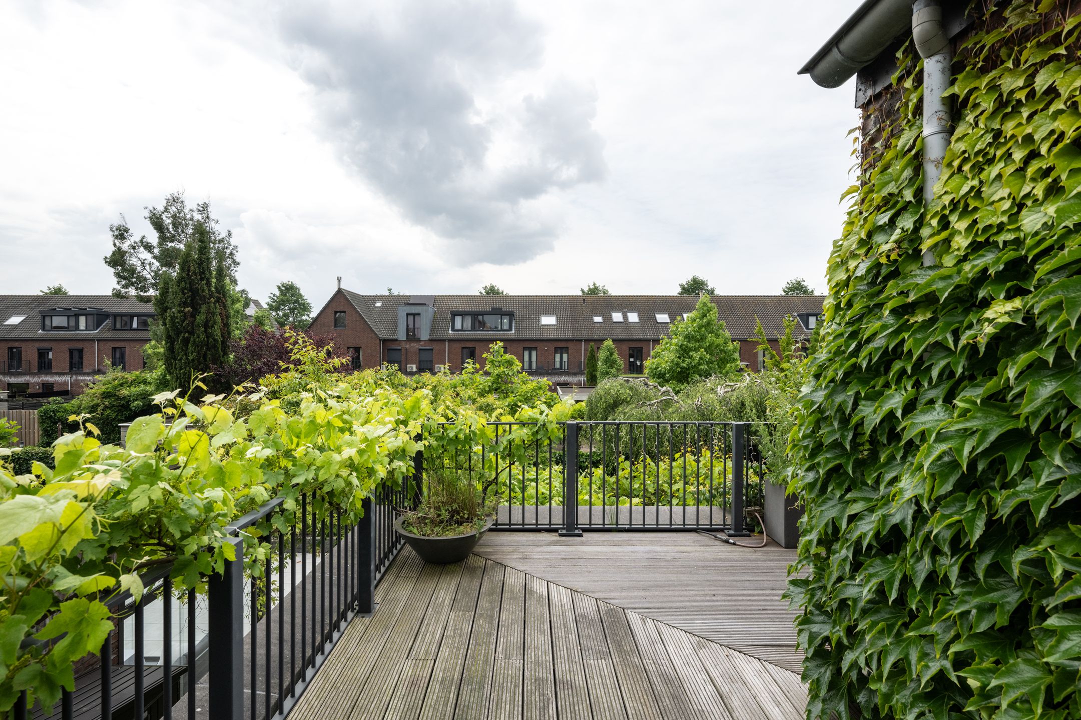 Foto 42 van Van Groningenhof 7