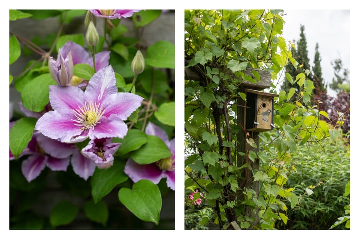 Foto 43 van Van Groningenhof 7