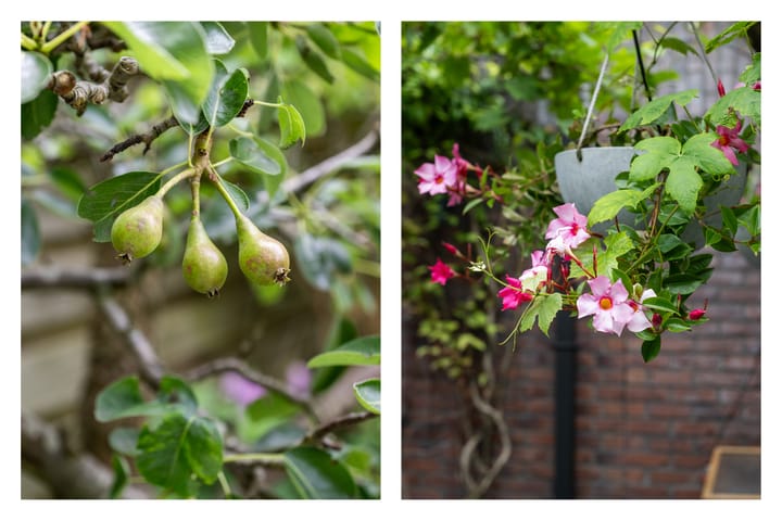 Foto 44 van Van Groningenhof 7