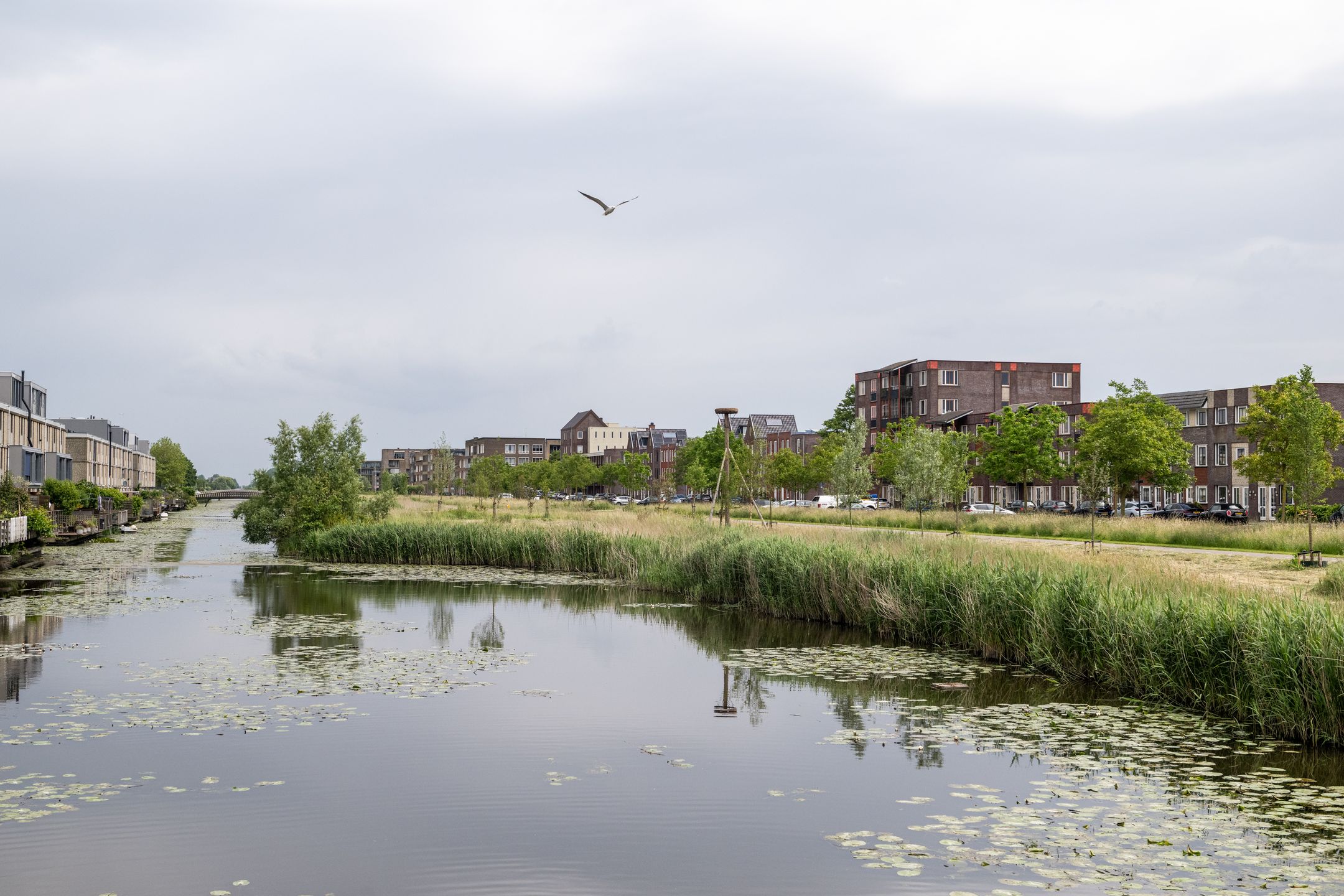 Foto 48 van Van Groningenhof 7