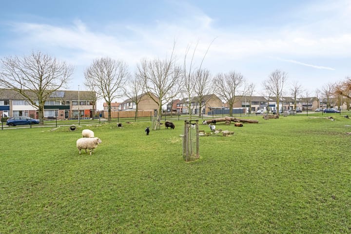 Foto 31 van Statenstraat 55