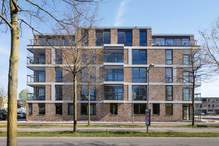 Foto 3 van Hagesteinstraat 53