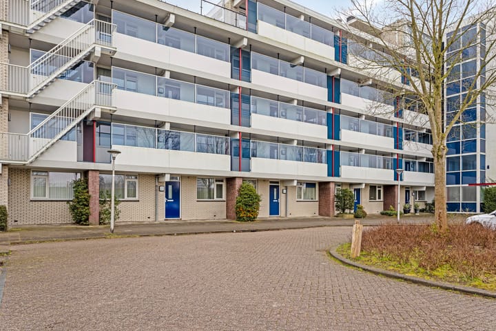 Haydnstraat 84