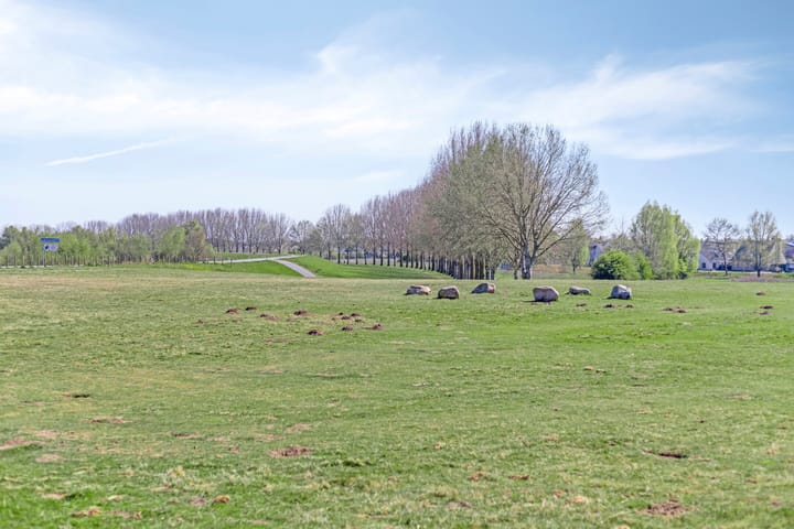 Foto 53 van Schout van Keppelpad 16